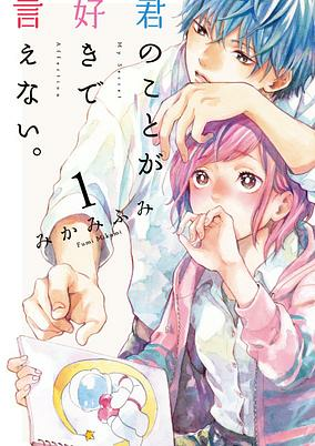 Capa de Kimi no Koto ga Suki de Ienai.