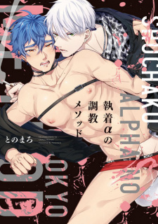 Capa de Shuuchaku α no Choukyou Method
