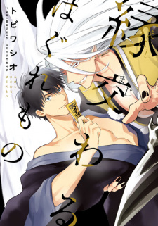 Capa de Enishi Majiwaru Haguremono