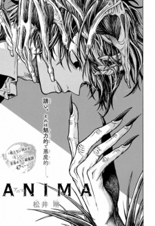 Capa de Anima