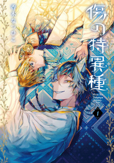 Cover of Kizu no Tokuishu