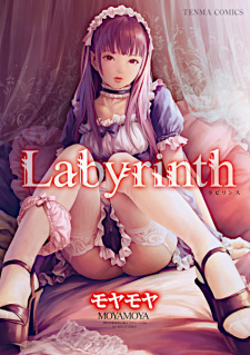 Capa de Labyrinth
