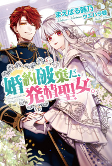 Cover Art