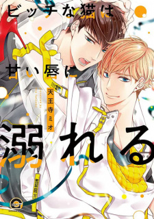 Capa de Bitch na Neko wa Amai Kuchibiru ni Oboreru