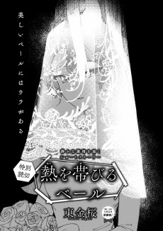 Capa de Netsu wo Obiru Veil