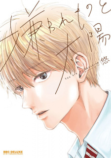 Capa de Kirawaremono to Taiyou