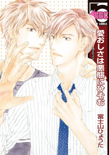 Capa de Itooshisa wa Akutai ni Hisomu