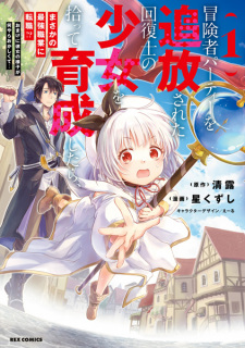 Titelbild von Boukensha Party wo Tsuihou sareta Kaifukushi Shoujo wo Hirotte Ikusei shitara Masaka no Saikyou Shokugyou ni Tenshoku!?