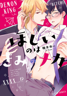 Capa de Hoshii no wa Kimi no Naka
