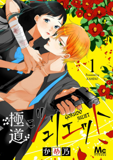 Cover of Gokudou Juliet