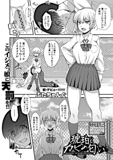 Capa de Kohaku to Kabi no Nioi