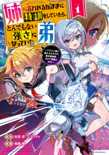 Capa de Ane ni Iwareru ga Mama ni Tokkun wo Shiteitara, Tondemonai Tsuyosa ni Natteita Otouto: Brocon Ane ni Kitaeraresugita Shinmai Boukensha, Yagate Eiyuu to Naru
