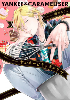 Cover of Yankee to Carameliser