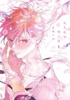 Capa de Chirijiri Yuku no