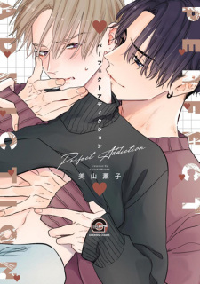 Capa de Perfect Addiction