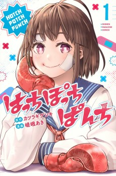 Capa de Hotchpotch Punch