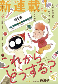 Cover of Korekara Dousuru?