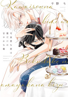 Capa de Kawaisou na Kimi wa Boku dake no Amayaka na Kizu