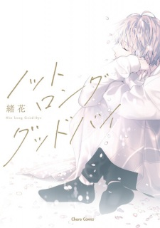 Capa de Not Long Goodbye
