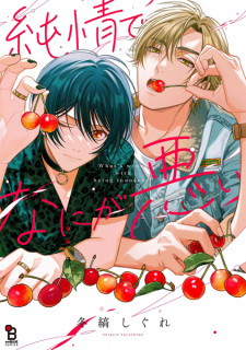 Capa de Junjou de Nani ga Warui