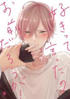 Capa de Suki tte Itta no Omae Darou ga!