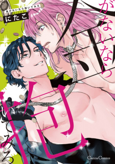 Capa de Kane ga Nai nara Daitemiro