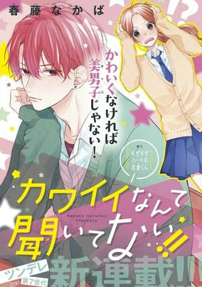 Capa de Kawaii nante Kiitenai!!