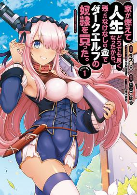 Cover of Ie ga Moete Jinsei Doudemo Yoku Natta kara Nokotta Nakenashi no Kane de Dark Elf no Dorei wo Katta.