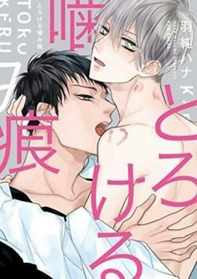 Titelbild von Torokeru Kamiato