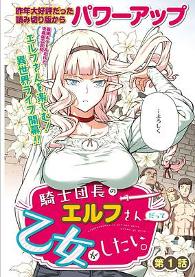 Titelbild von Kishi Danchou no Elf-san datte Otome ga Shitai.