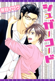 Capa de Sugar Code