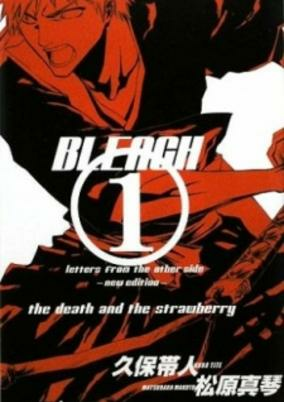 Cover of Bleach: Letters From the Other Side