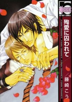 Cover Art