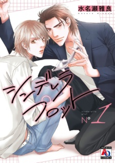 Titelbild von Cinderella Plot
