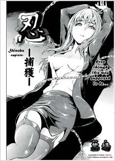 Capa de Shinobu