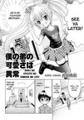 Titelbild von Boku no Otouto no Kawaisa wa Ijou
