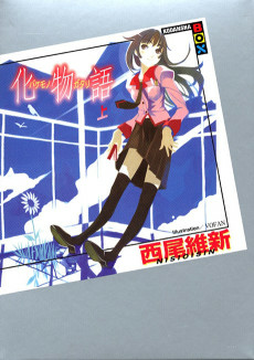 Capa de 