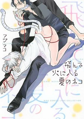 Capa de Tonde Hi ni Iru Natsu no Neko