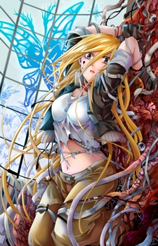 Capa de Metamorcode