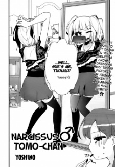 Capa de Narcissus Tomo-chan