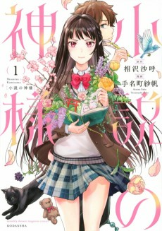 Capa de Shousetsu no Kamisama