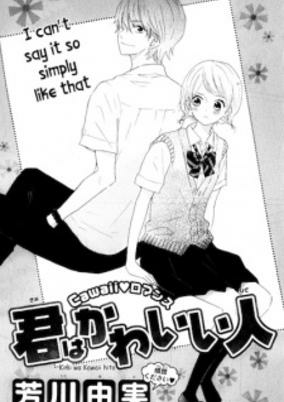 Cover of Kimi wa Kawaii Hito