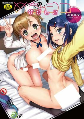 Capa de Mechashiko Nadeshiko