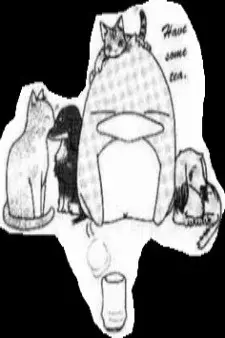 Capa