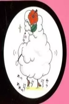Arte de la Cubierta