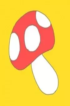 Arte de la Cubierta