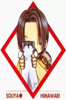 Arte de la Cubierta