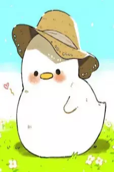 Arte de la Cubierta