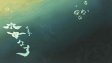 Capa de Anime