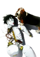 Capa de Anime